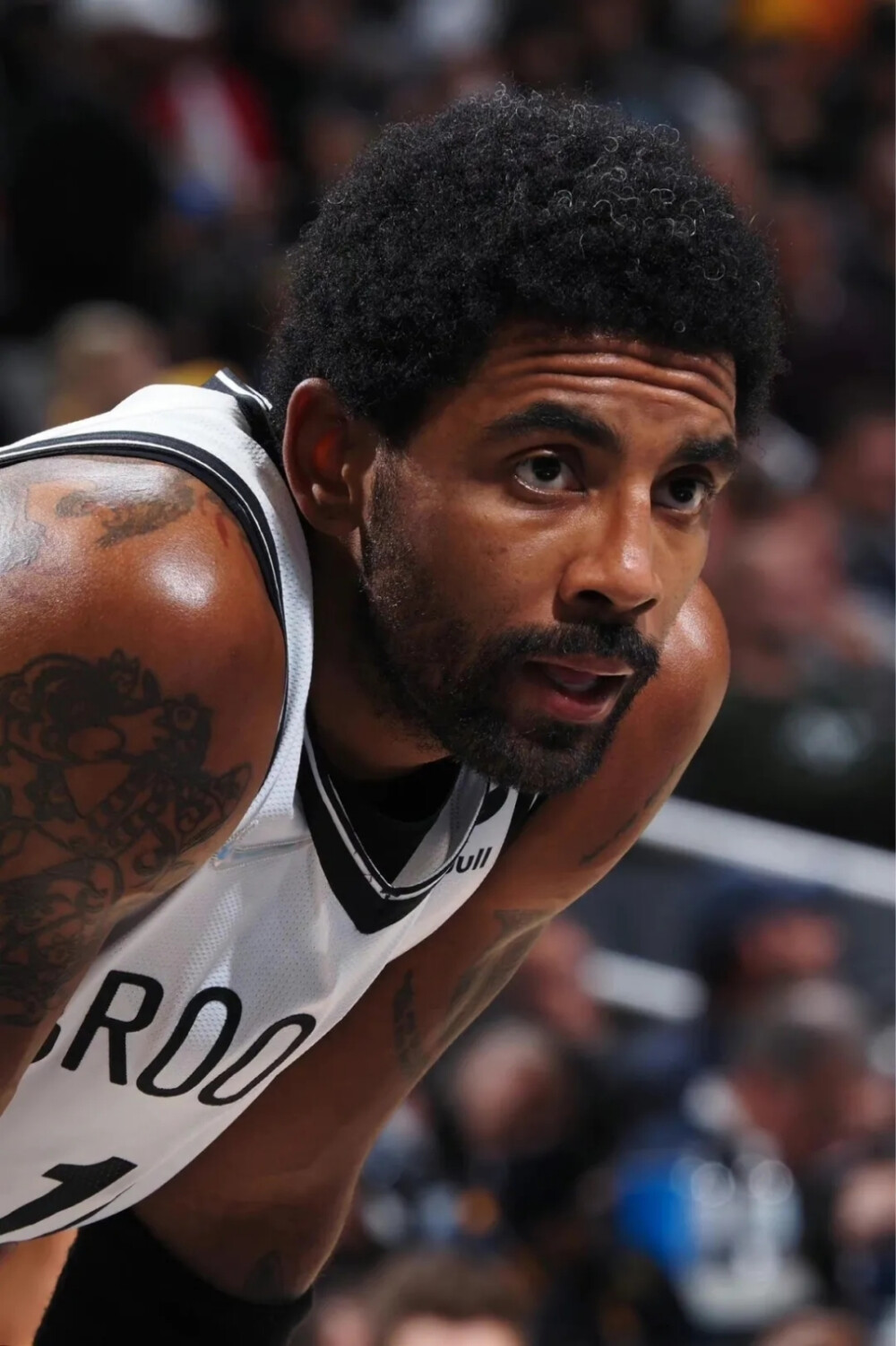 这次入选让 这次入选让